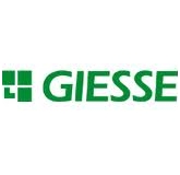 GIESSE